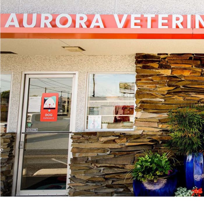 Aurora Veterinary Hospital in Seattle
